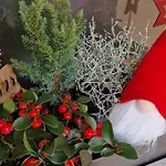 Maison 140m2 Au Calme - Beau Jardin - A 15mn A Pied Du Centre-ville De Nyaraló *