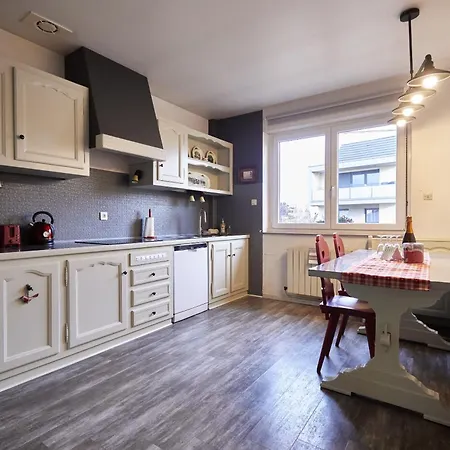 Maison 140m2 Au Calme - Beau Jardin - A 15mn A Pied Du Centre-ville De Holiday home Colmar