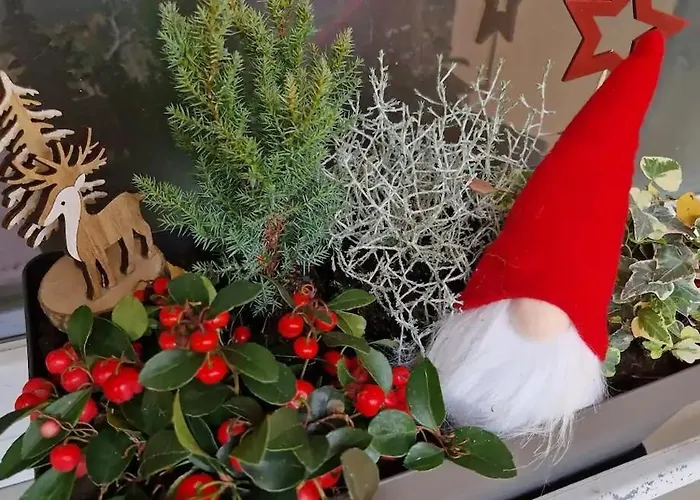 Maison 140m2 Au Calme - Beau Jardin - A 15mn A Pied Du Centre-ville De Prázdninový dům *