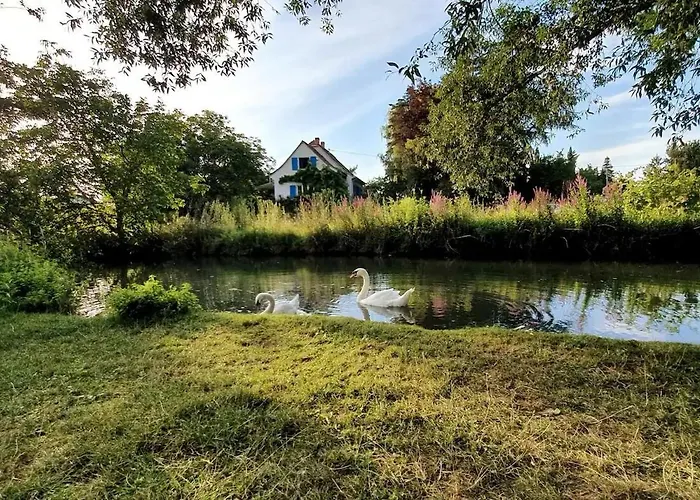 Prázdninový dům Maison 140m2 Au Calme - Beau Jardin - A 15mn A Pied Du Centre-ville De *