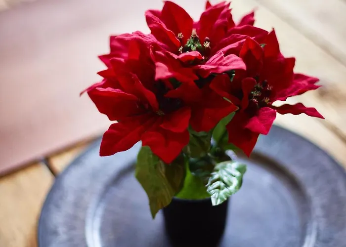 Maison 140m2 Au Calme - Beau Jardin - A 15mn A Pied Du Centre-ville De